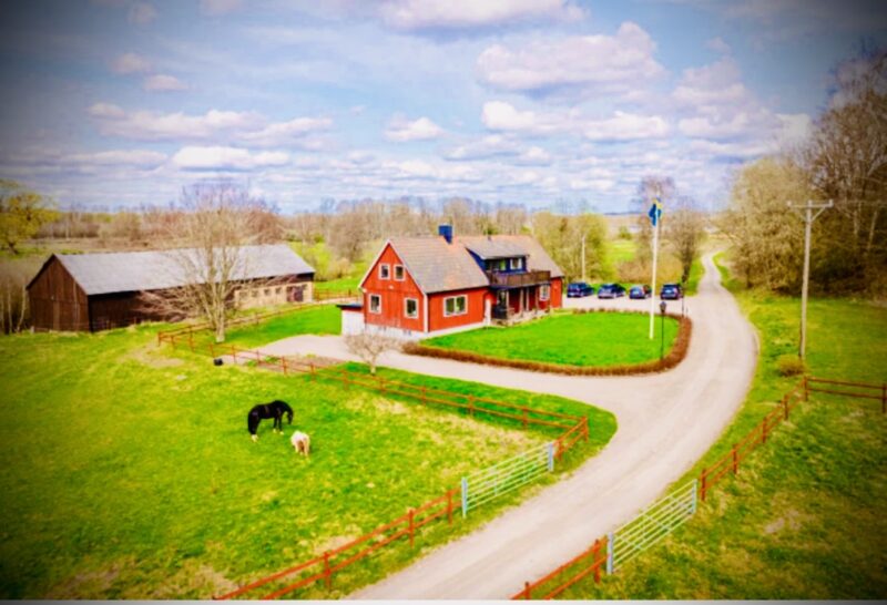 Drömgården Skåne Sösdala Hässleholm, Islandshästar, turridning, utbildning, skönhetsinjektioner, massage, fascia, bindväv, behandling, behandlingar, konst, konstrundan, läkare, privat läkarmottagning, psykiatri, psykolog, psykoterapeut, komplex ptsd, traumabehandling, beroende, medberoende, målning, vedic art, meditation, mindgulness, qigong, yoga, retreat, kurs, helgkurs, natural horsemanshim, fasciaklinikerna, fascia behandling, mikrocirkulation, lymfdränage, massör, hästmassör, hästrar, ridning, hästgård, skåne, privat läkare, psykiatri, ridskola, ridning, behandling skåne sösdala hässleholm, Dr Pauline Falk